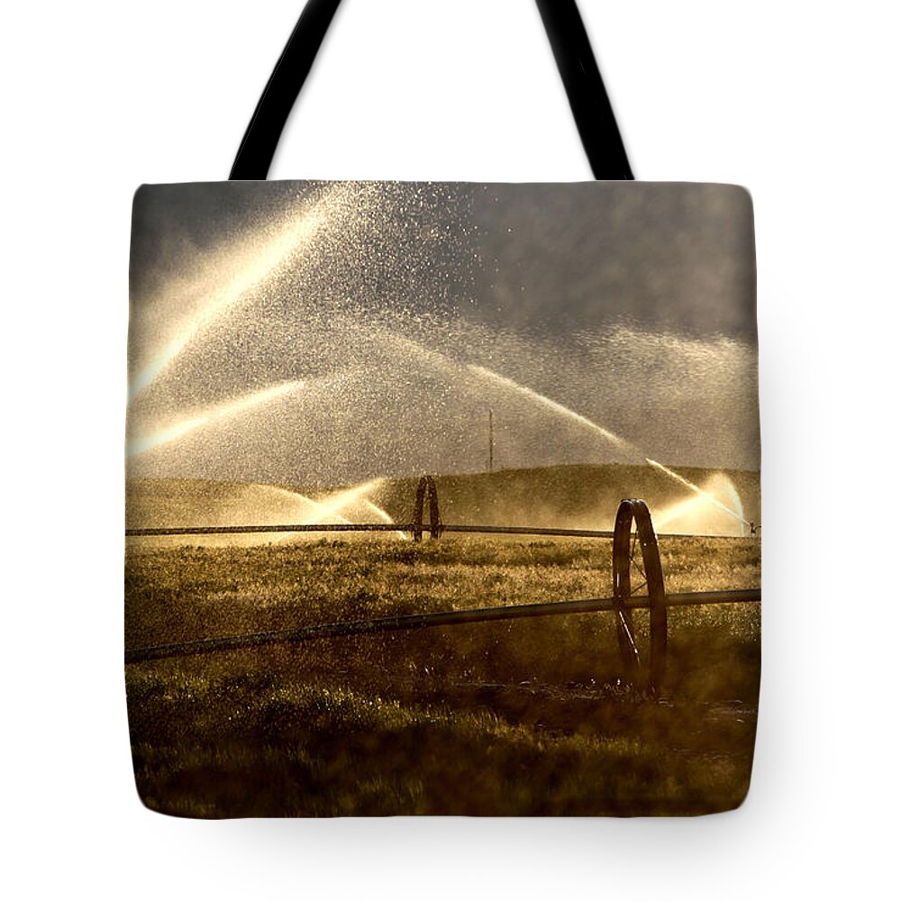 Idaho Tote Bag featuring the photograph Sunset Nurturing by Ross Lewis