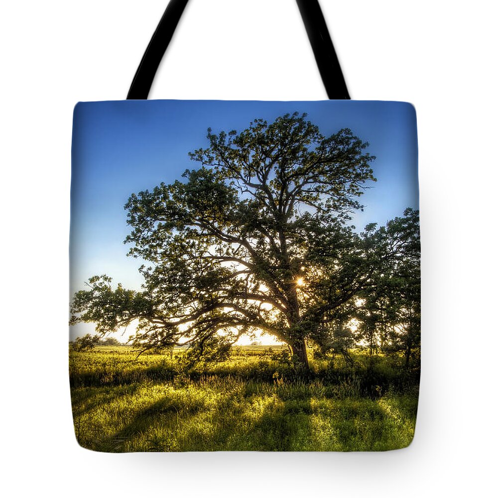 Sunset Tote Bag featuring the photograph Sunset Oak by Scott Norris