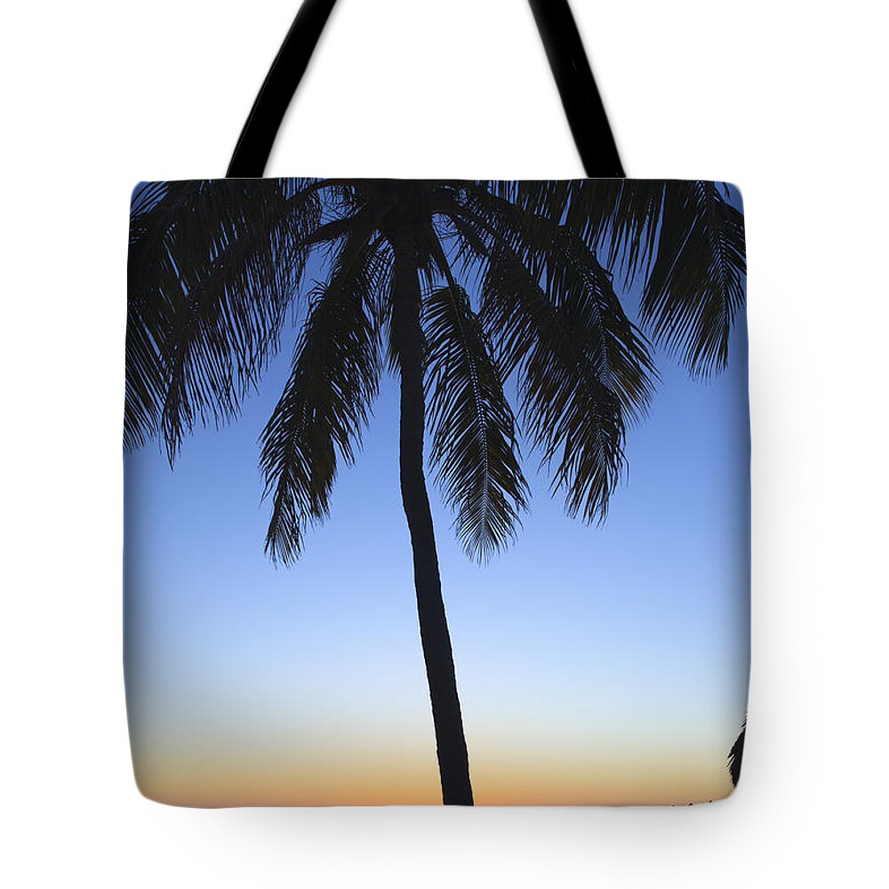 Bayshore Tote Bag featuring the photograph Sunset Palm by Raul Rodriguez