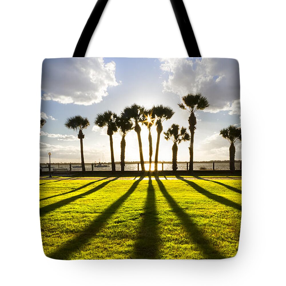 American Tote Bag featuring the photograph Sunset Sentinels by Debra and Dave Vanderlaan