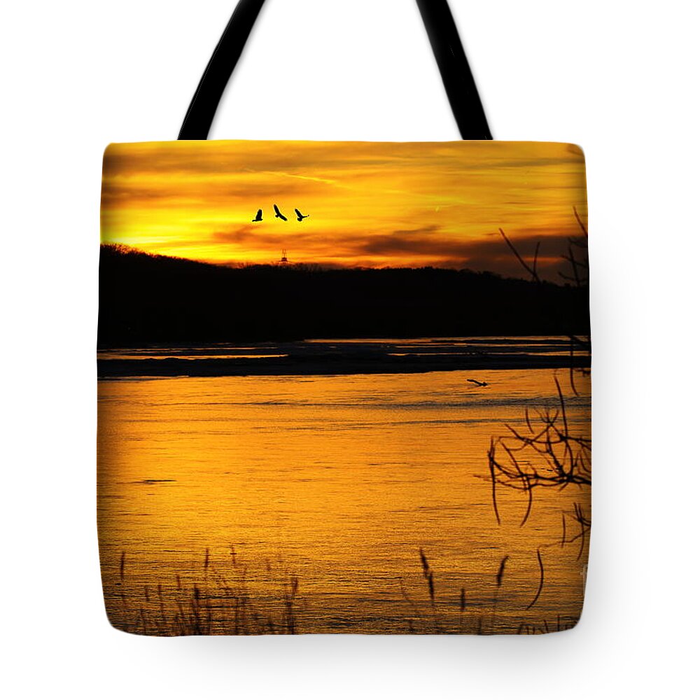 Sunset Silhouette Tote Bag featuring the photograph Sunset Silhouette by Elizabeth Winter