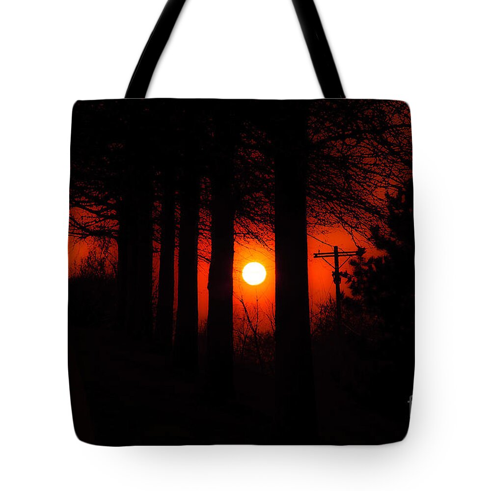 Sun Tote Bag featuring the photograph Sunset Silhouette Painterly by Andee Design
