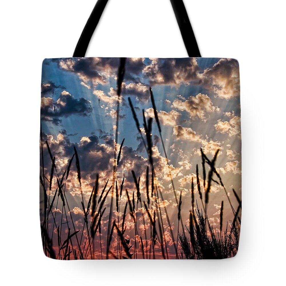 Sunset Tote Bag featuring the photograph Sunset Through the Grasses by Don Schwartz
