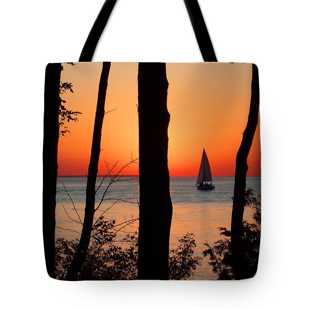 Sunset Tote Bag featuring the photograph Sunset Through the Trees by David T Wilkinson