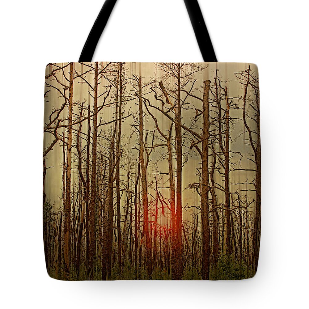 Nature Tote Bag featuring the photograph Sunset thru the Pine Barrens by Tom Gari Gallery-Three-Photography
