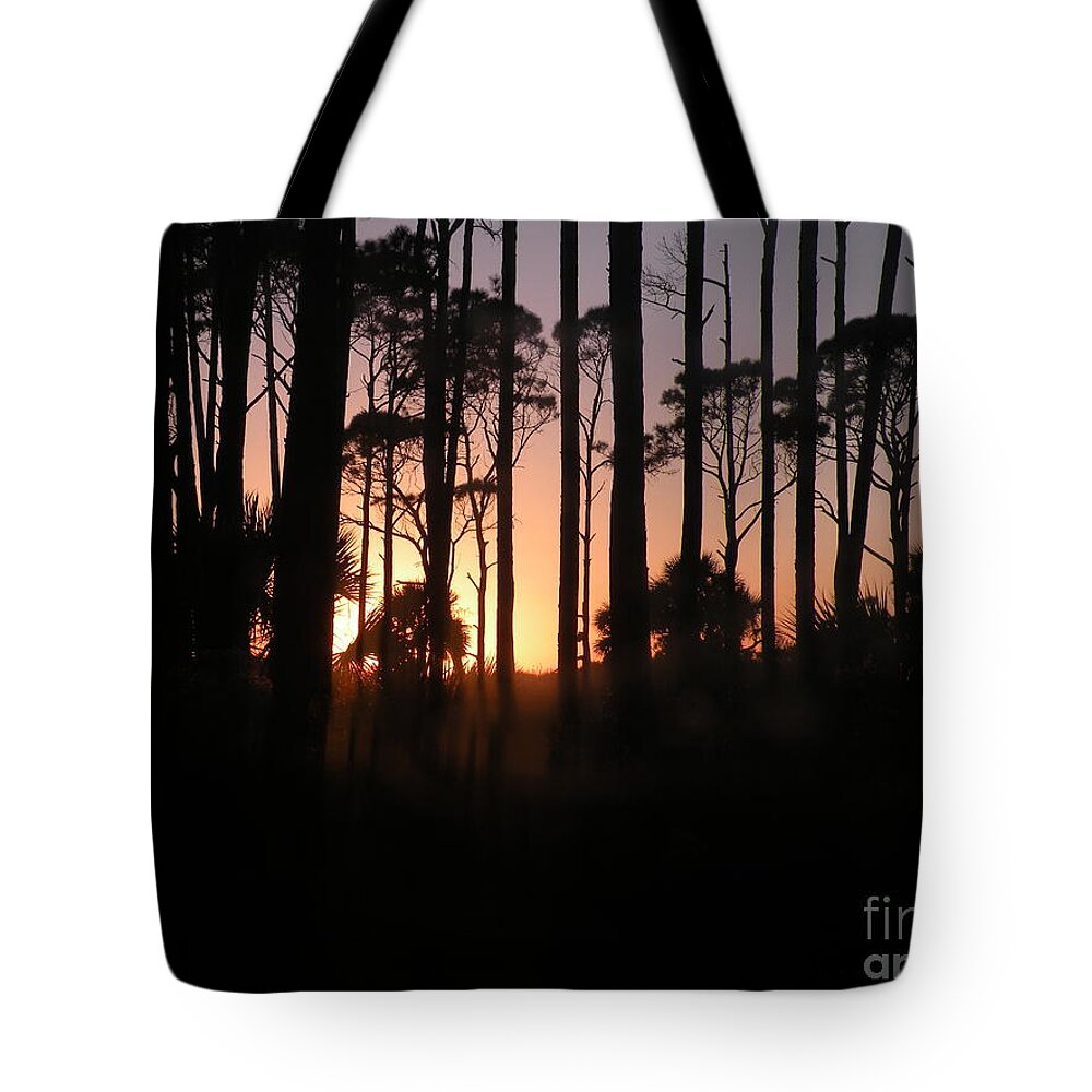 Sunset Tote Bag featuring the photograph Sunset Thru the Pines III Port St Joseph Peninsula by Lora Duguay