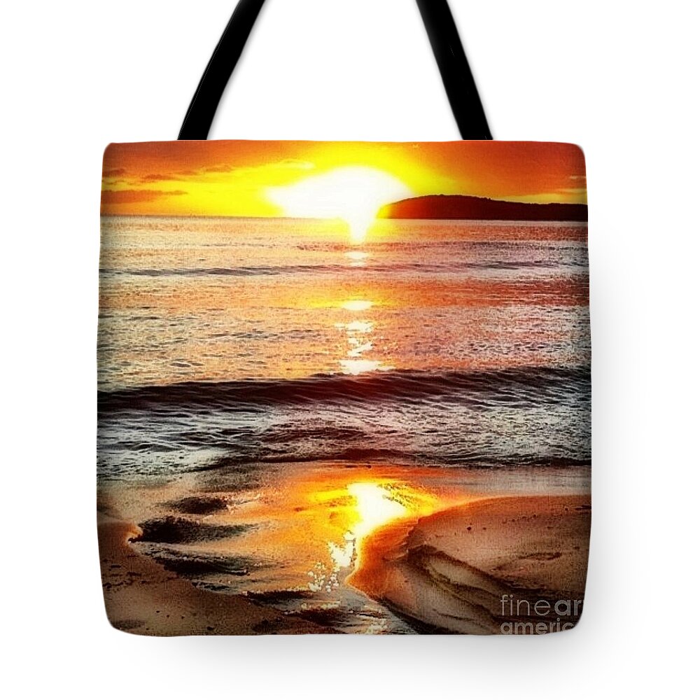 Sharkcrossing Tote Bag featuring the painting S Sunset View of Watch Ho - Square by Lyn Voytershark