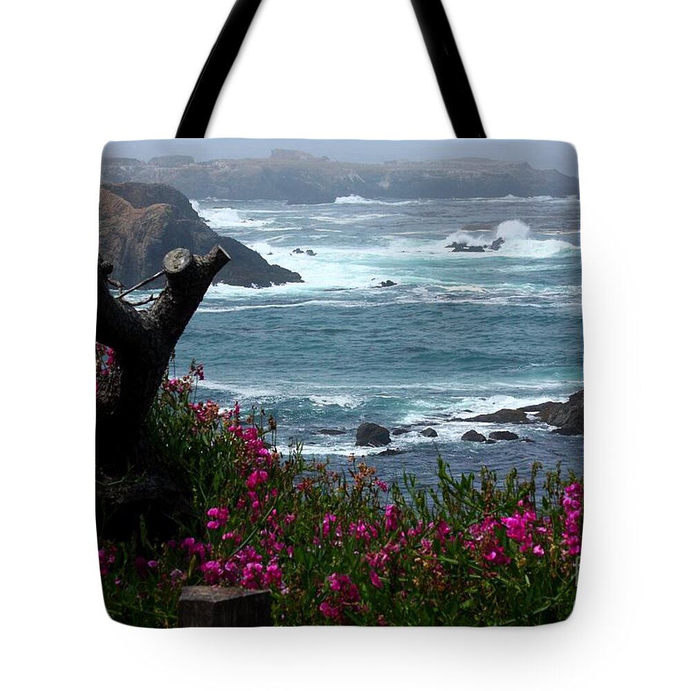Surf And Turf Tote Bag featuring the photograph Surf and Turf by Patrick Witz