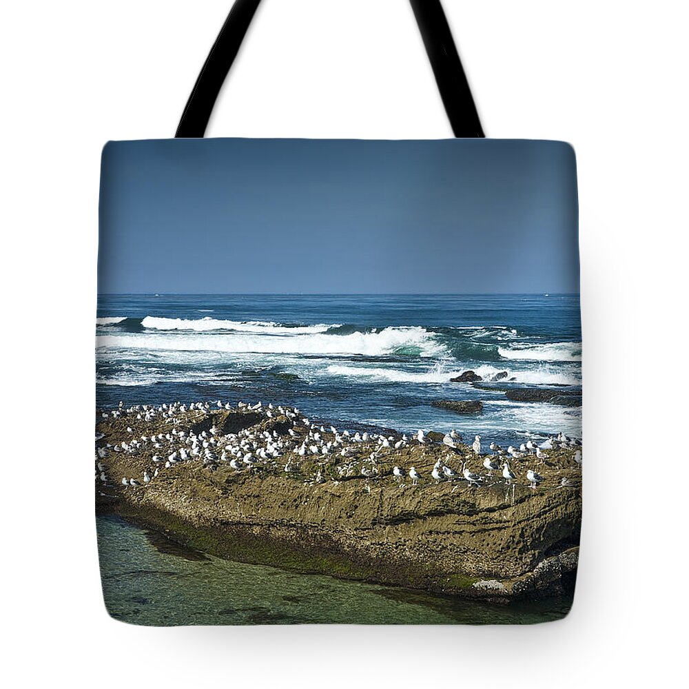 Ocean Tote Bag featuring the photograph Surf Waves at La Jolla California with Gulls perched on a Large Rock No. 0194 by Randall Nyhof