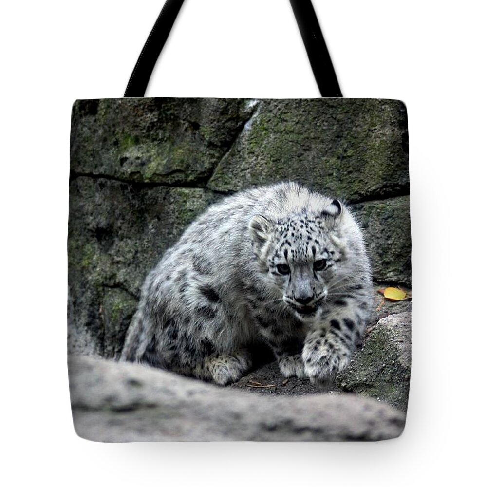 Surprise Tote Bag featuring the photograph Surprise Attack by Ramabhadran Thirupattur