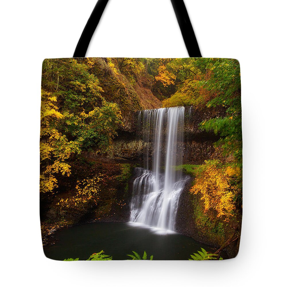 Waterfall Tote Bag featuring the photograph Surrounded By Fall by Darren White