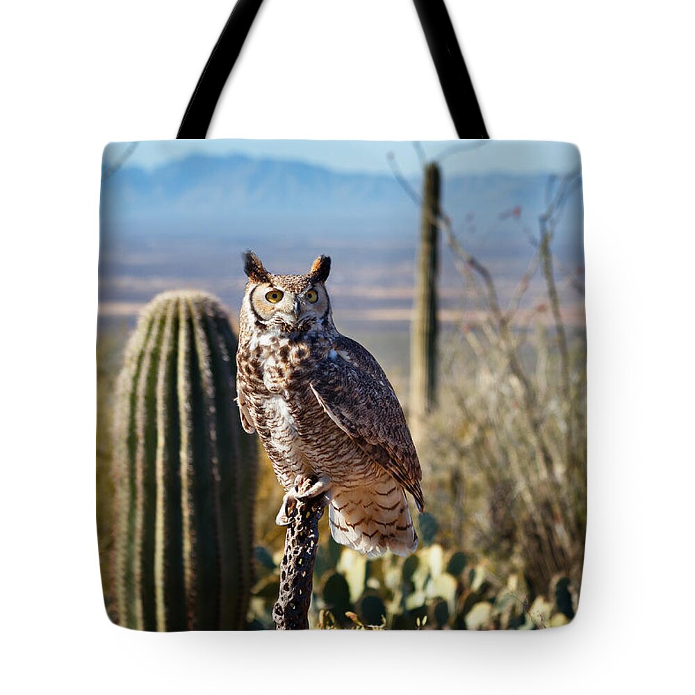 Great Horned Owls Tote Bag featuring the photograph Surveying the Sonoran by Kathleen Bishop