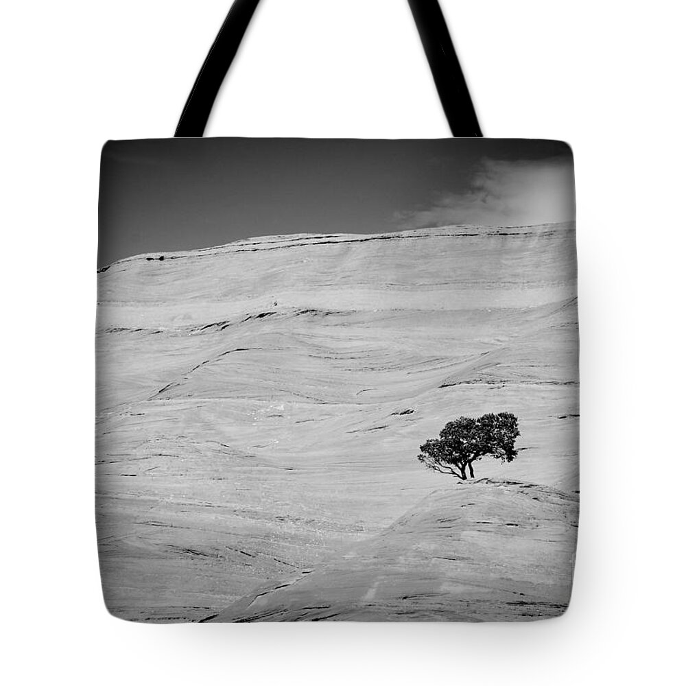 Survival Tote Bag featuring the photograph Survival by Cheryl McClure