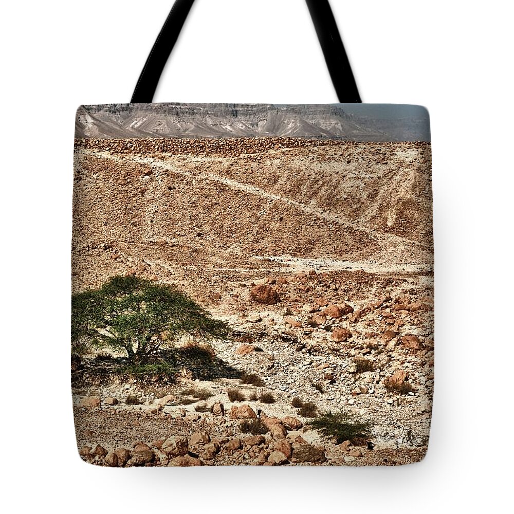 Israel Tote Bag featuring the photograph Survival by Mark Fuller