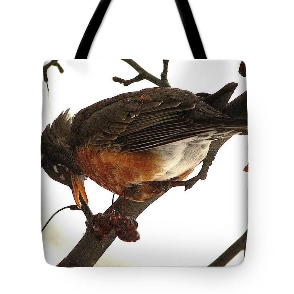 Birds Tote Bag featuring the photograph Surviving Winter by Veronica Batterson