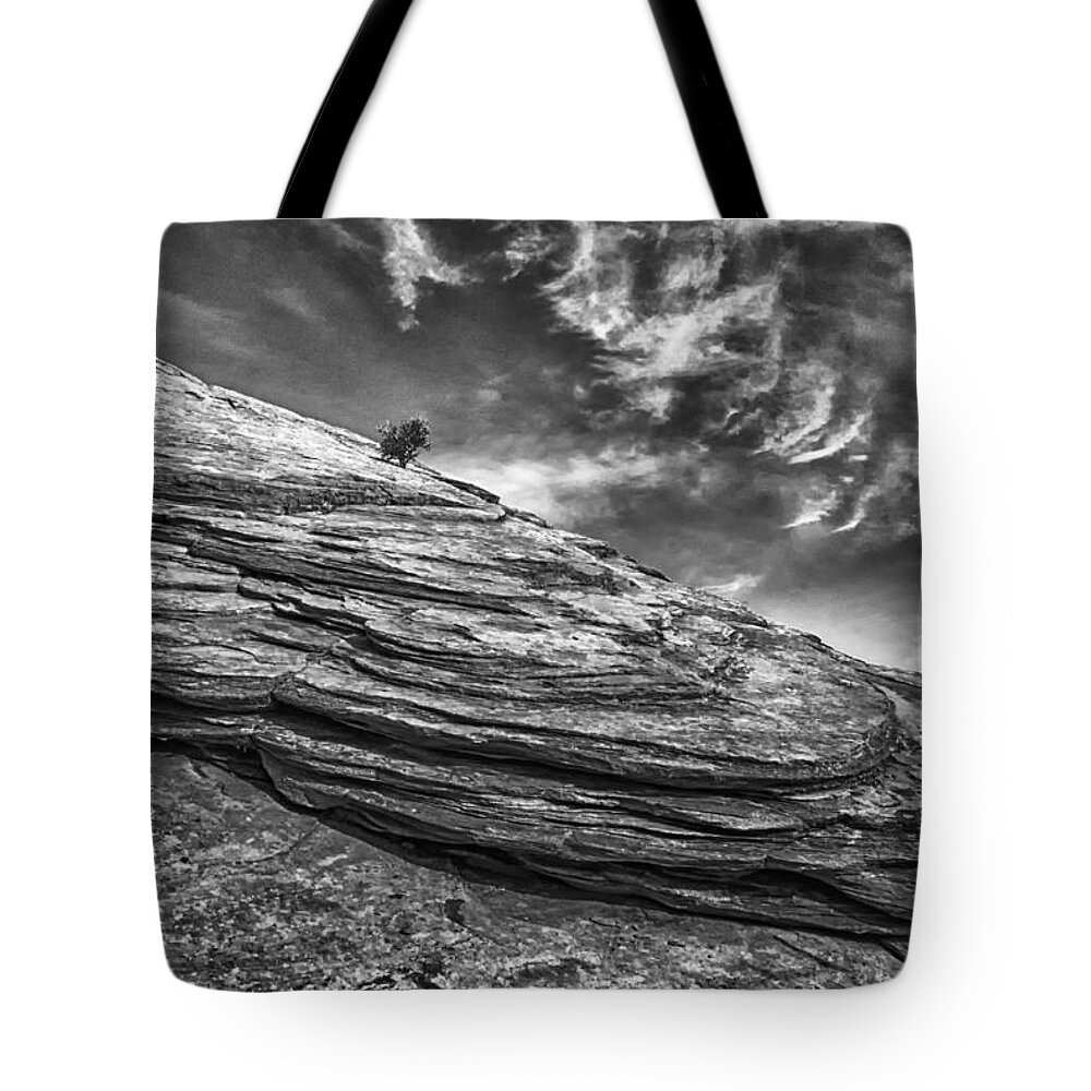  Tote Bag featuring the photograph Survivor by Ghostwinds Photography