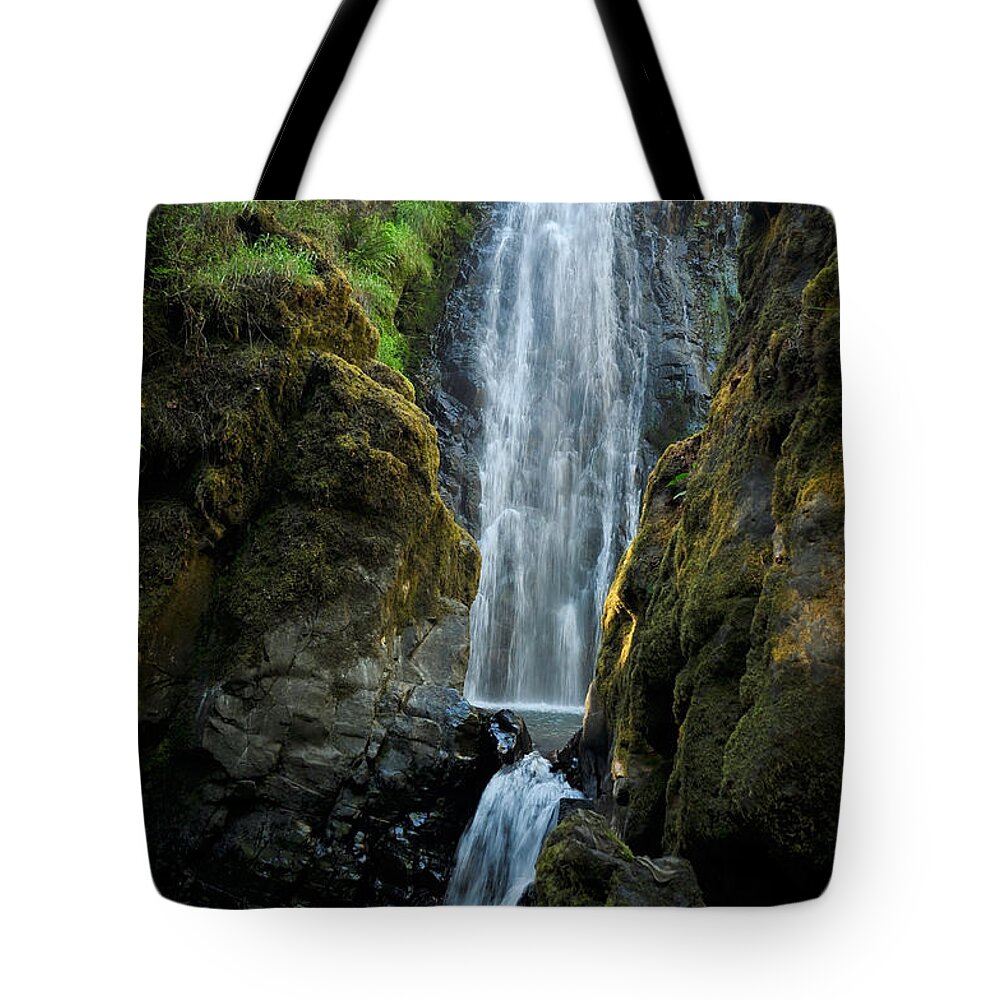 Water Tote Bag featuring the photograph Susan Creek Falls Series 11 by Teri Schuster