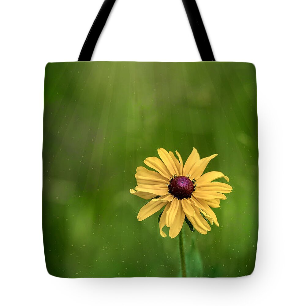 Flower Tote Bag featuring the photograph Susan On Emerald Lights by Bill and Linda Tiepelman