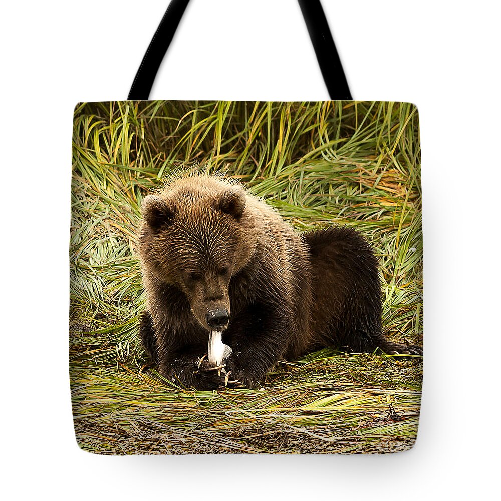 Nature Tote Bag featuring the photograph Sushi by Steven Reed