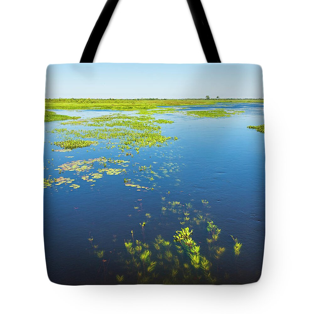 Scenics Tote Bag featuring the photograph Swamp Lanscape II by Picture By Tambako The Jaguar