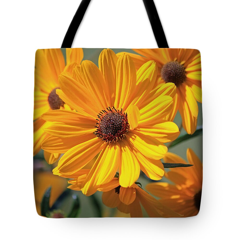 Swamp Sunflowers Tote Bag featuring the photograph Swamp Sunflowers Squared by Suzanne Gaff