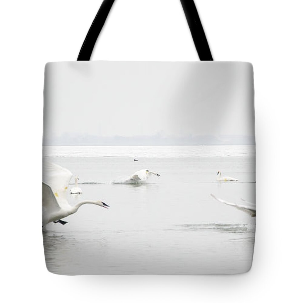 Swan Tote Bag featuring the photograph Swan Fight by Laurel Best