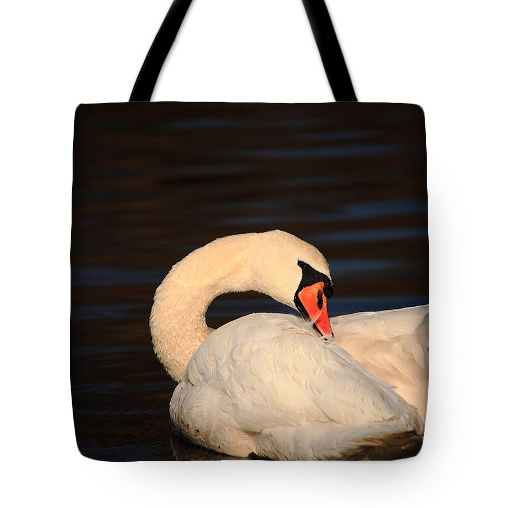 Swan Tote Bag featuring the photograph Swan Grooming by Karol Livote
