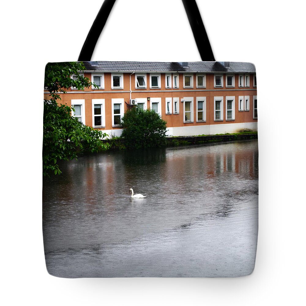 Dublin Tote Bag featuring the photograph Swan in Dublin by Sharon Popek