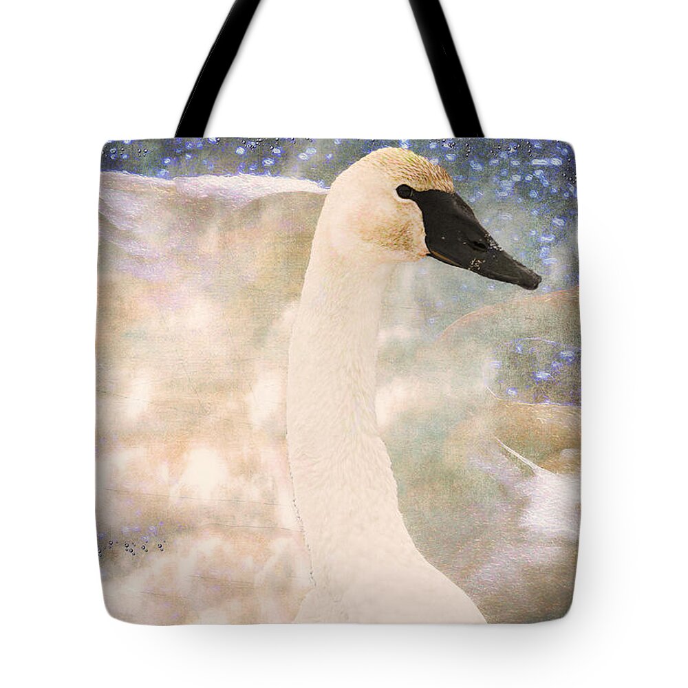 Bird Tote Bag featuring the photograph Swan Journey by Kathy Bassett