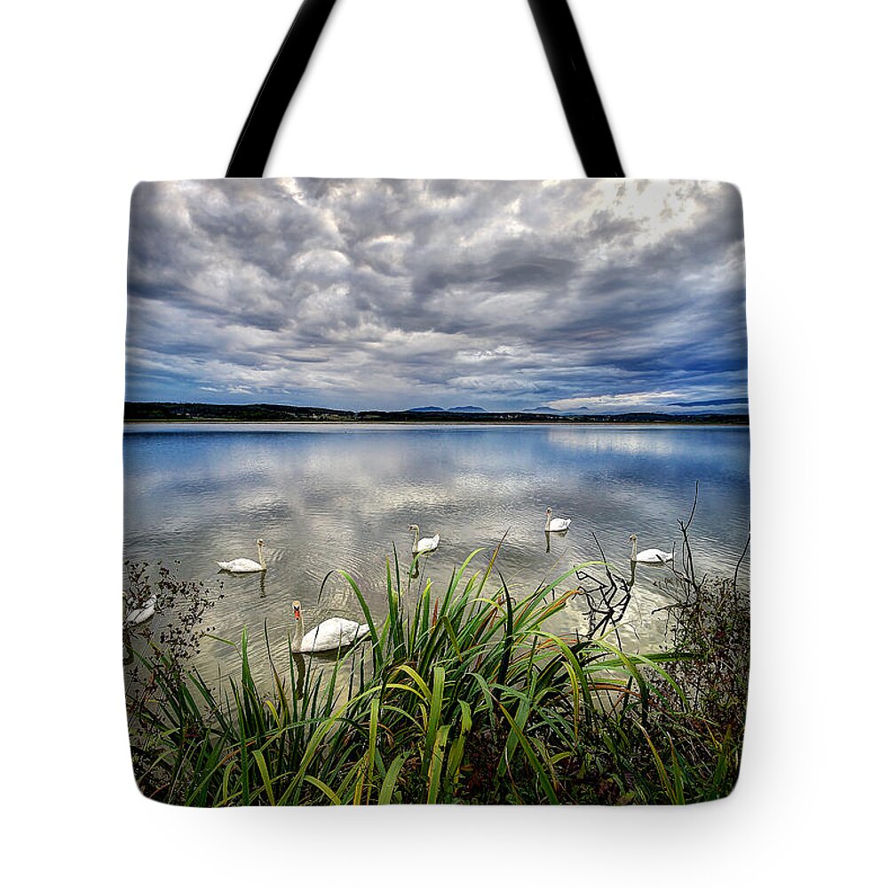 Water Tote Bag featuring the photograph Swan lake by Ivan Slosar
