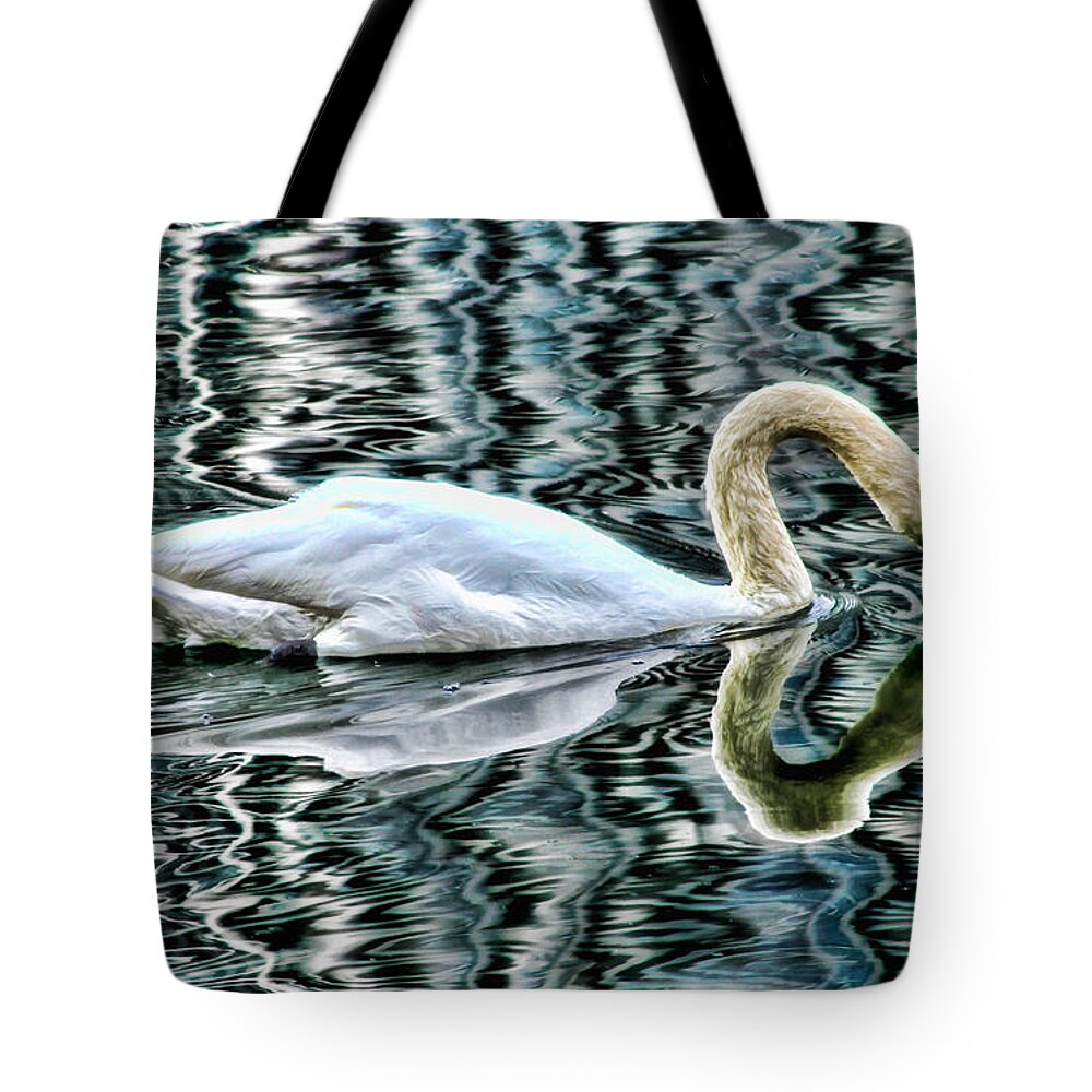 Swan Tote Bag featuring the photograph Swan on Lake Eola by Diana Sainz by Diana Raquel Sainz