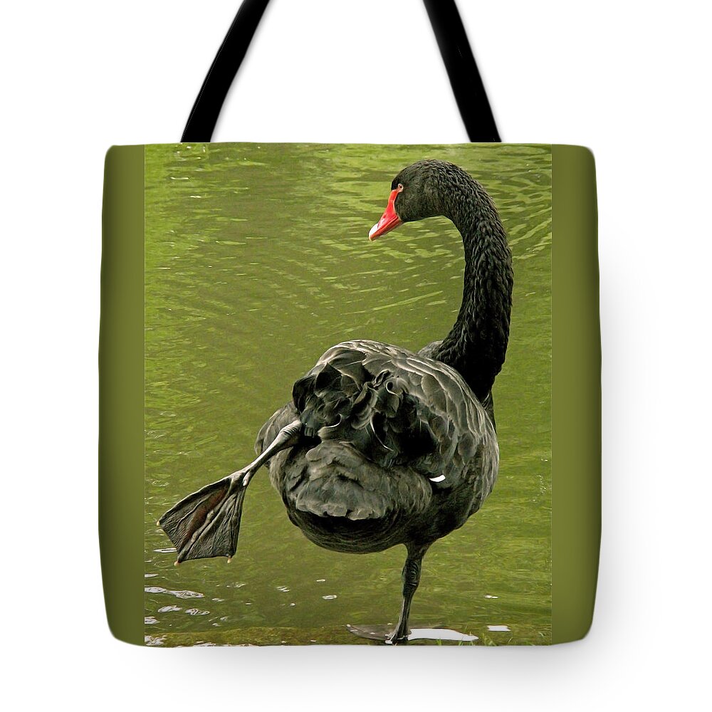 Swan Tote Bag featuring the photograph Swan Yoga by Rona Black