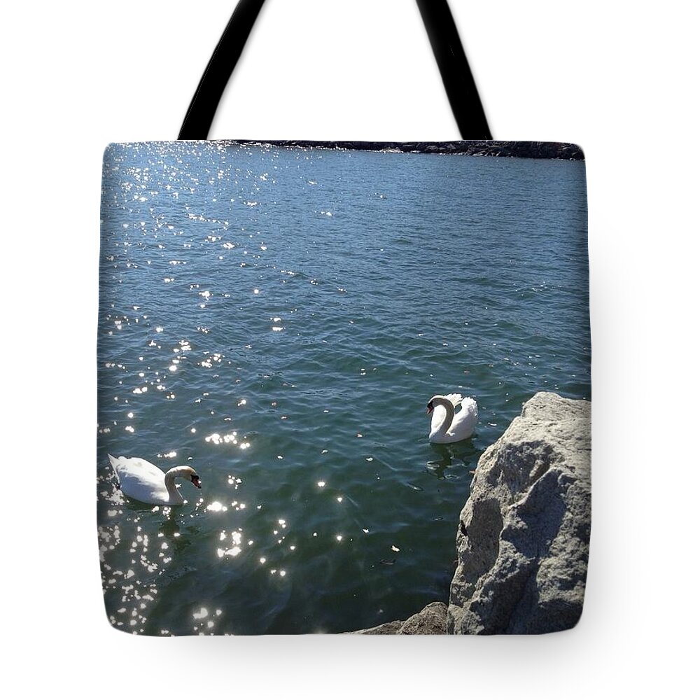 Swan Tote Bag featuring the photograph Swans and Sparkles by Pema Hou