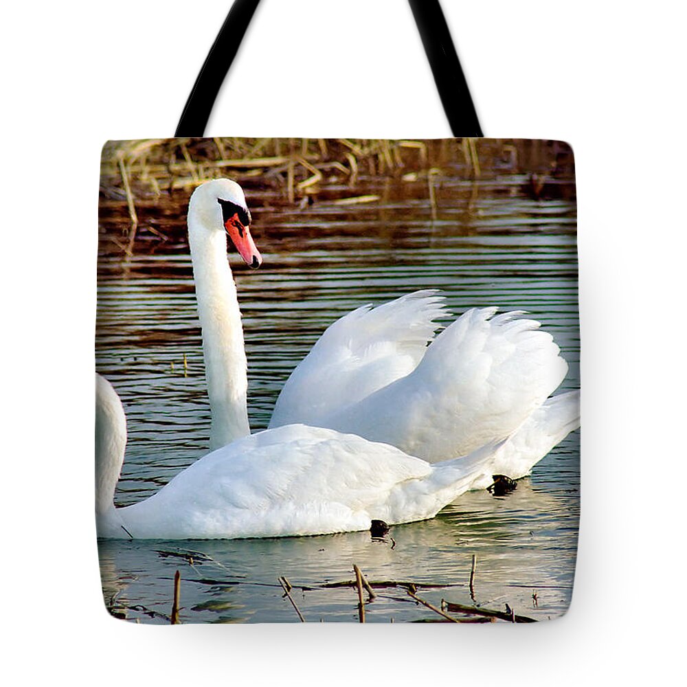 Swans Tote Bag featuring the photograph Swans by Gary Heller