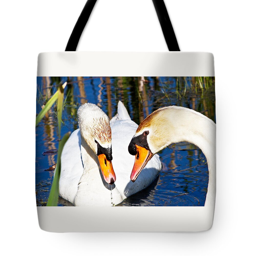 Birds Tote Bag featuring the photograph Swans by Suanne Forster