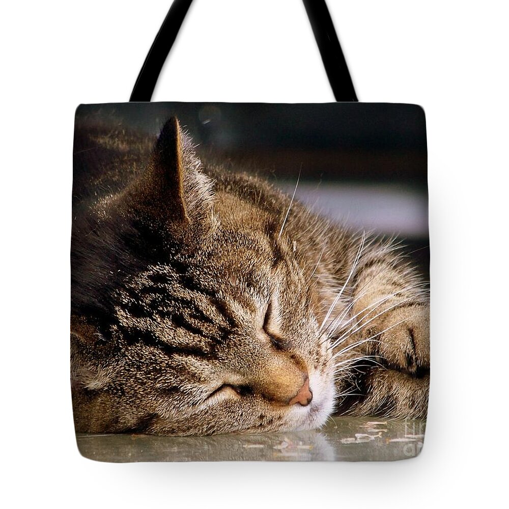Dream Tote Bag featuring the photograph Sweet Dreams by Eunice Miller