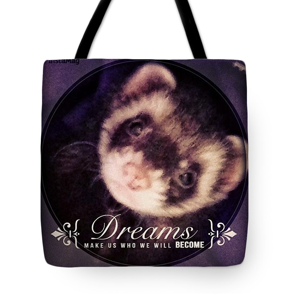 Sweet Dreams Little One Tote Bag featuring the photograph Sweet Dreams Little One by Anna Porter