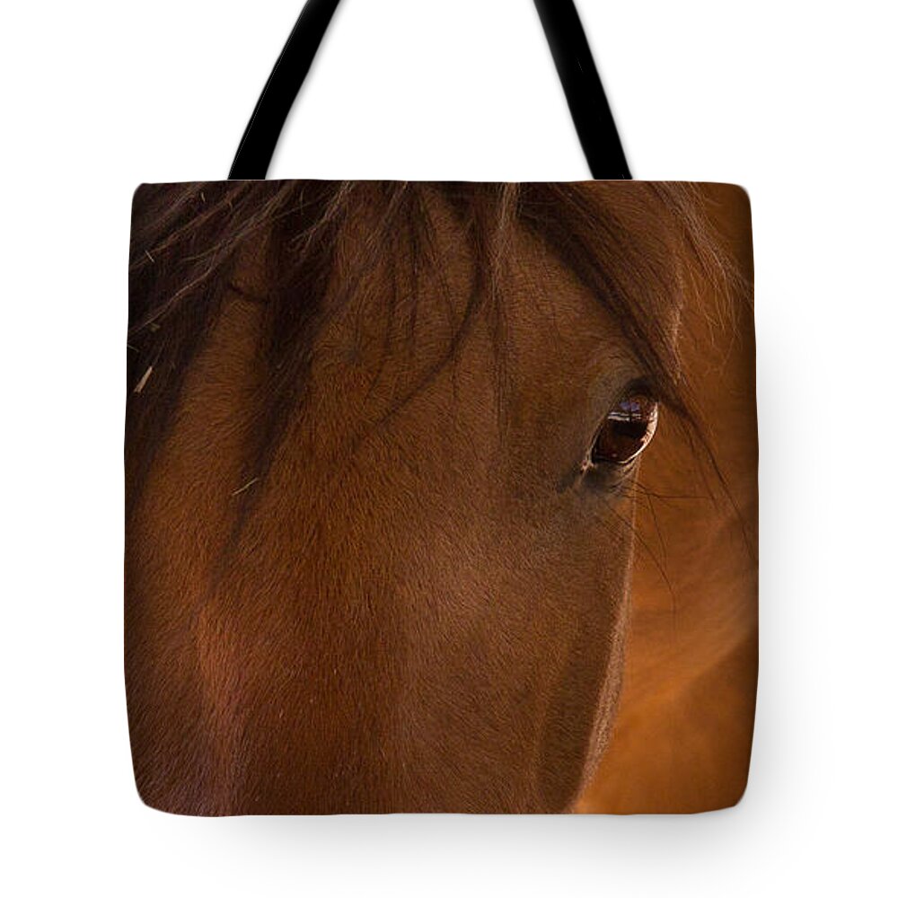 Horse Tote Bag featuring the photograph Sweet Horse Face by Natalie Rotman Cote
