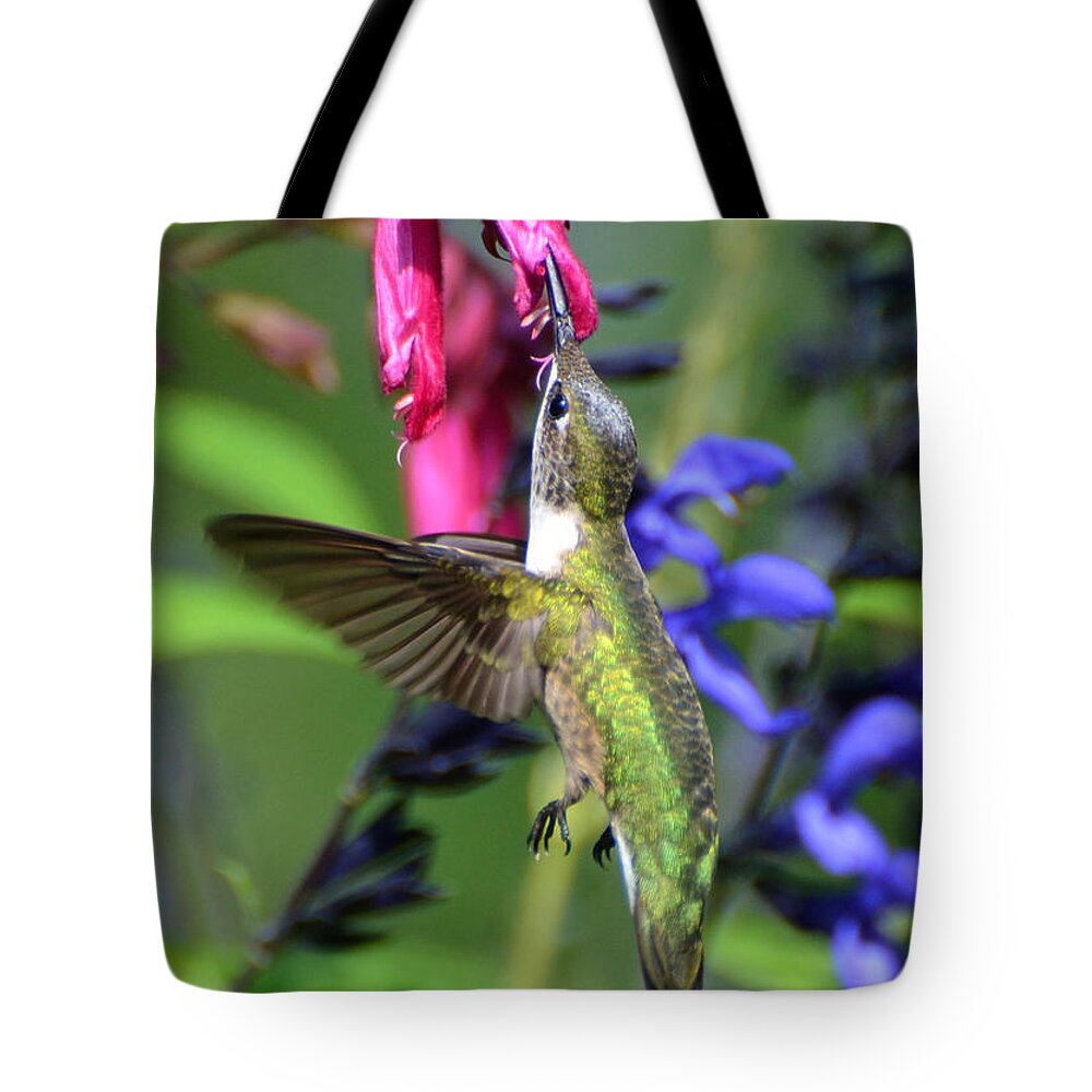 Birds Tote Bag featuring the photograph Sweet Hummer by Kathy Baccari