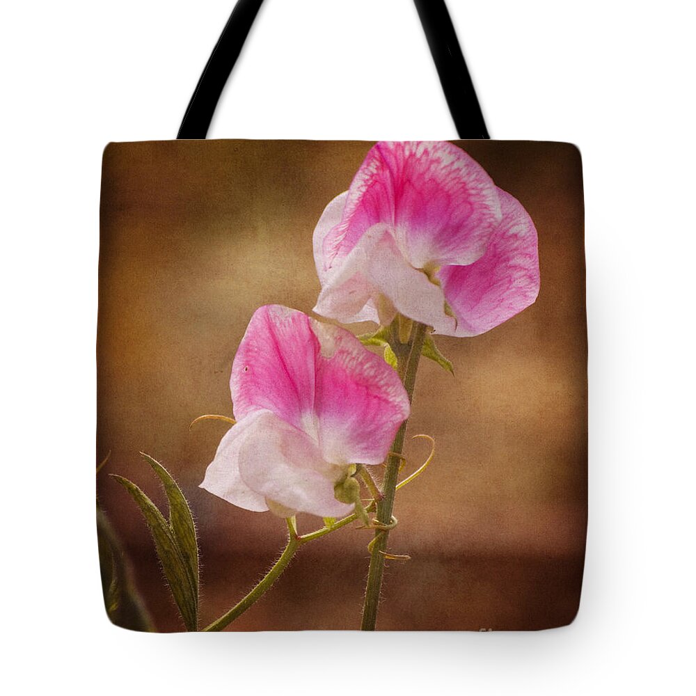 Sweet Pea Tote Bag featuring the photograph Sweet Peas by Jim And Emily Bush
