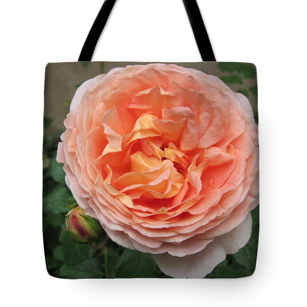 Rose Tote Bag featuring the photograph Sweet Rhapsody by Pema Hou