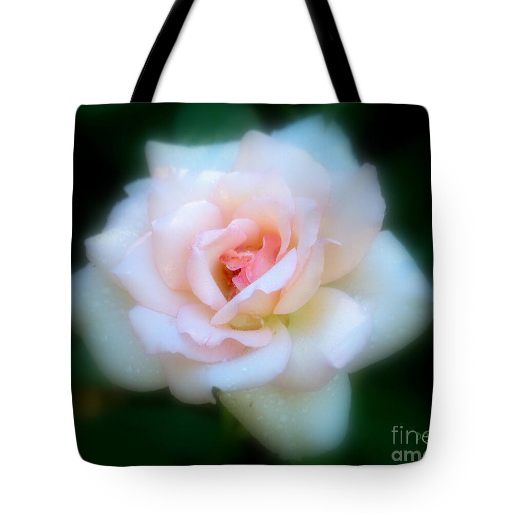 Sweet Rose Tote Bag featuring the photograph Sweet Rose by Patrick Witz