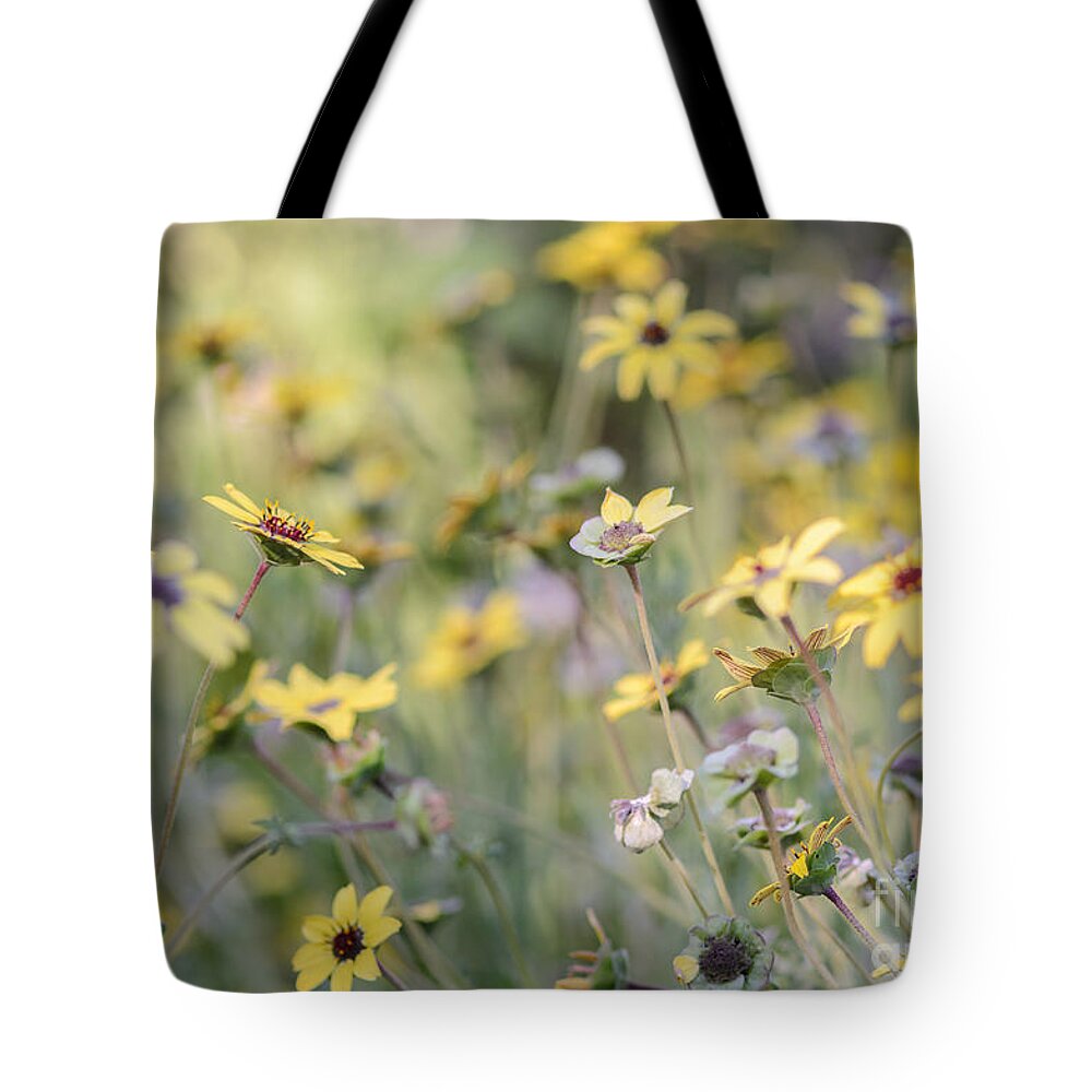 Chocolate Flower Tote Bag featuring the photograph Sweetness by Tamara Becker