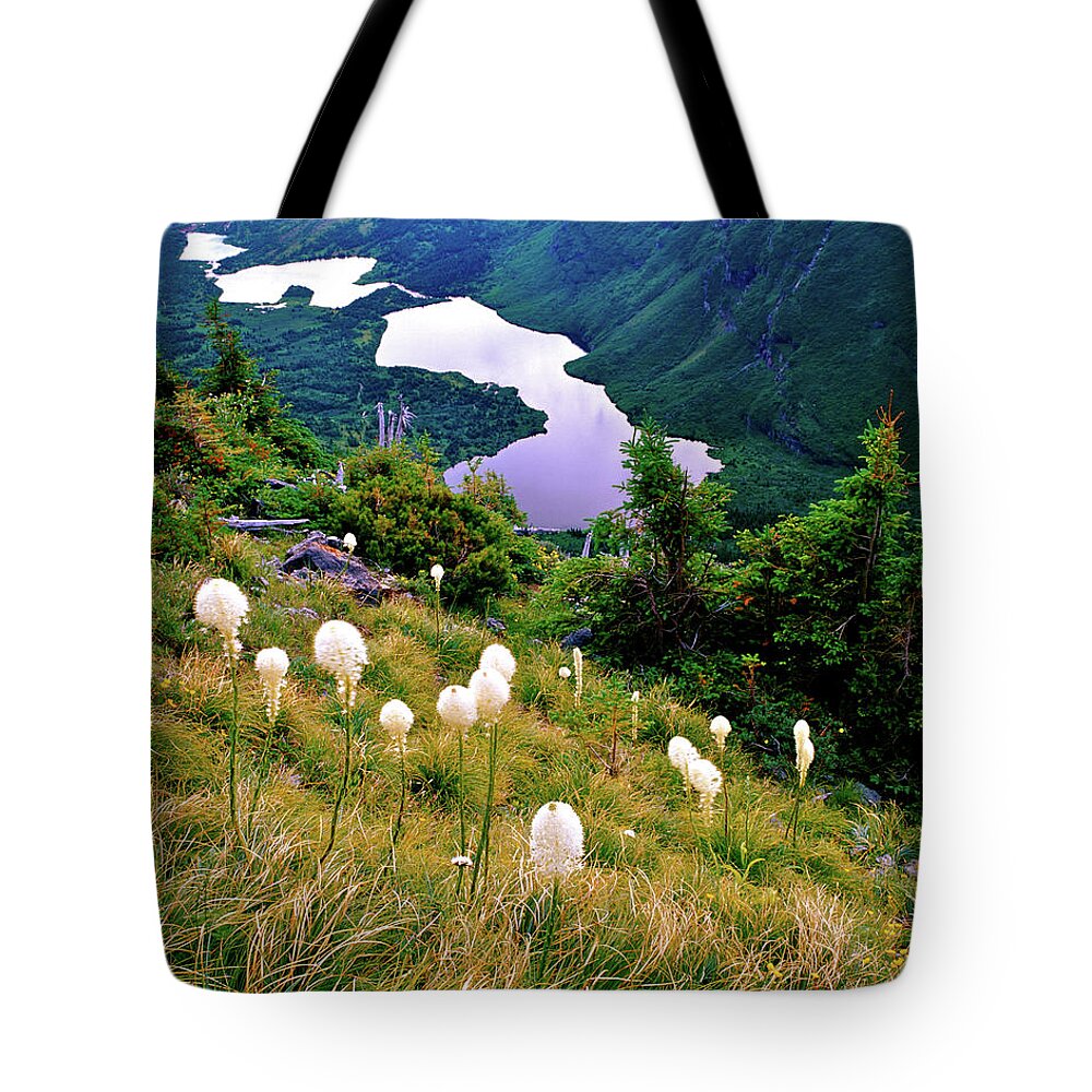 Glacier National Park Tote Bag featuring the photograph Swiftcurrent Pass Glacier International Peace Park by Ed Riche