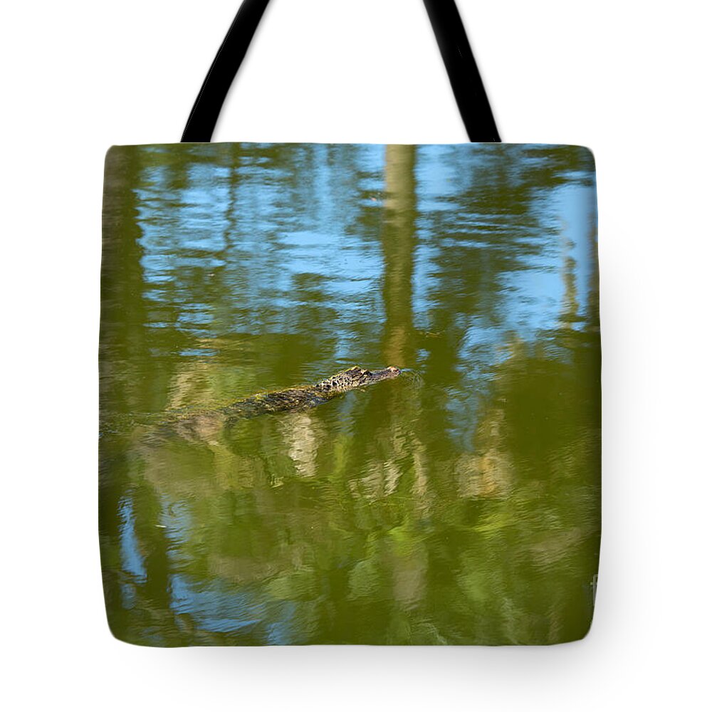 American Alligator Tote Bag featuring the photograph Swimming gator by Louise Heusinkveld