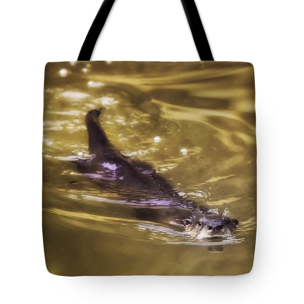 River Otter Tote Bag featuring the photograph Swimming River Otter by Michael Dougherty