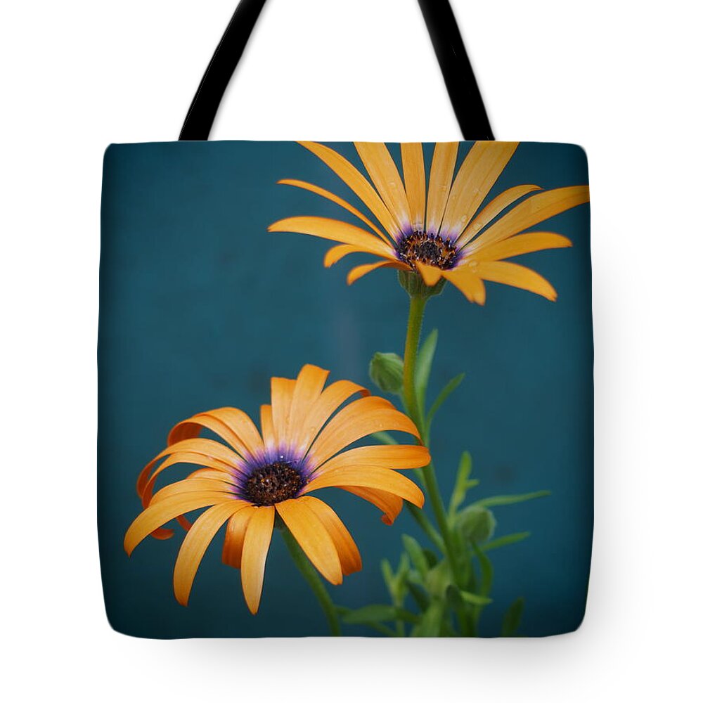 Flowers Tote Bag featuring the photograph Symphonies by Dorothy Lee