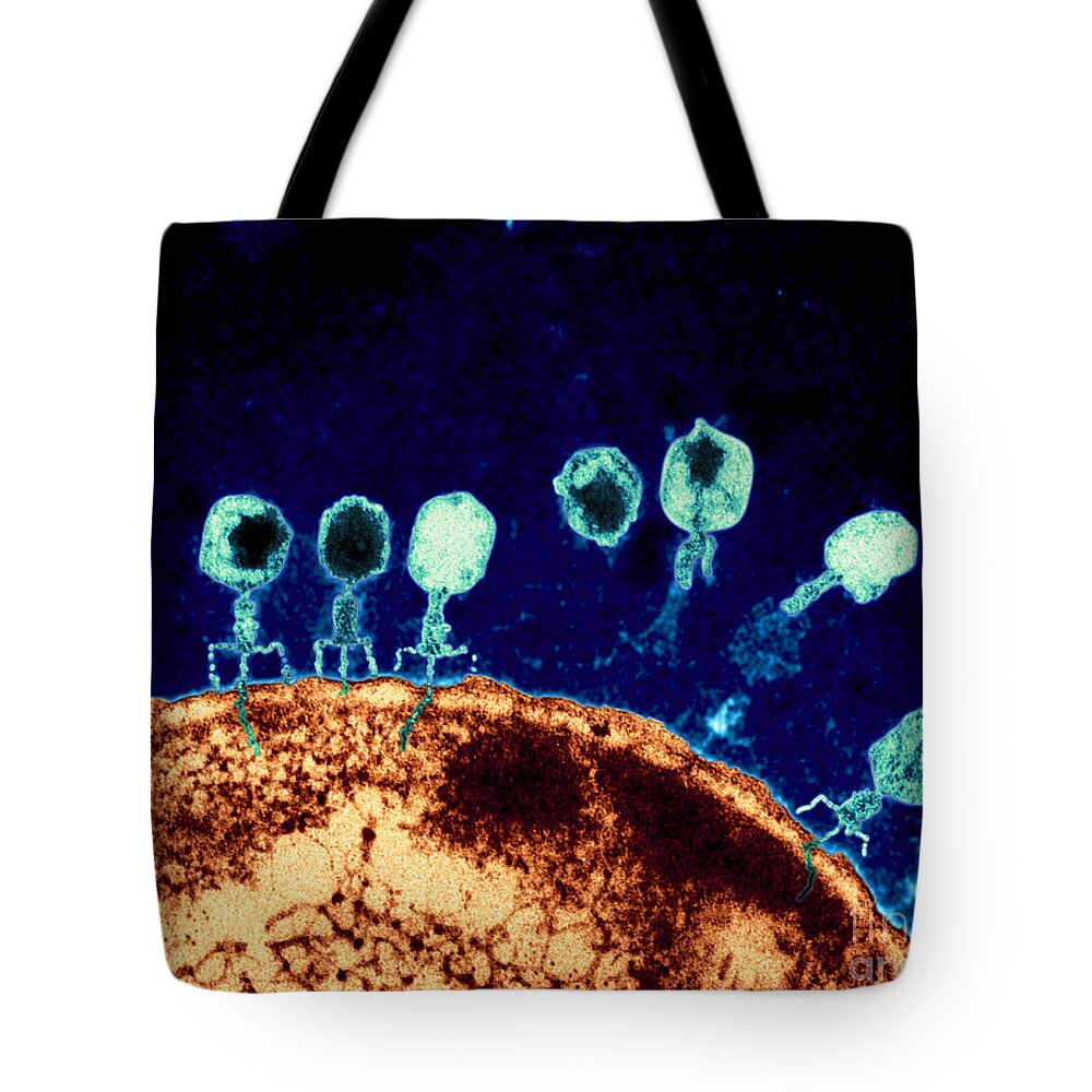 Bacteriophage Tote Bag featuring the photograph T-bacteriophages and e-coli by Eye Of Science