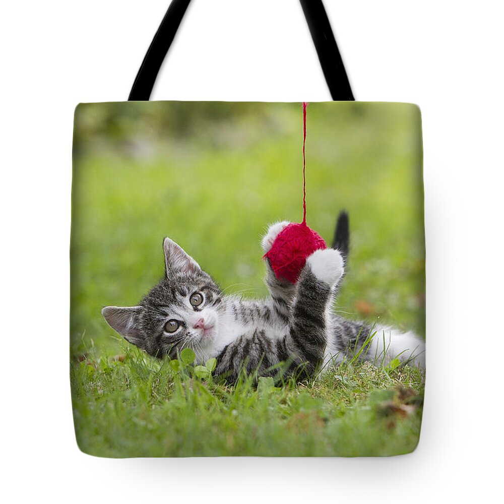 Feb0514 Tote Bag featuring the photograph Tabby Kitten Playing With Ball Of Wool by Duncan Usher