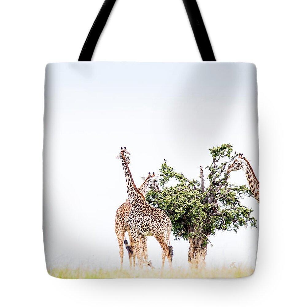 Africa Tote Bag featuring the photograph Table For Three - Color by Mike Gaudaur
